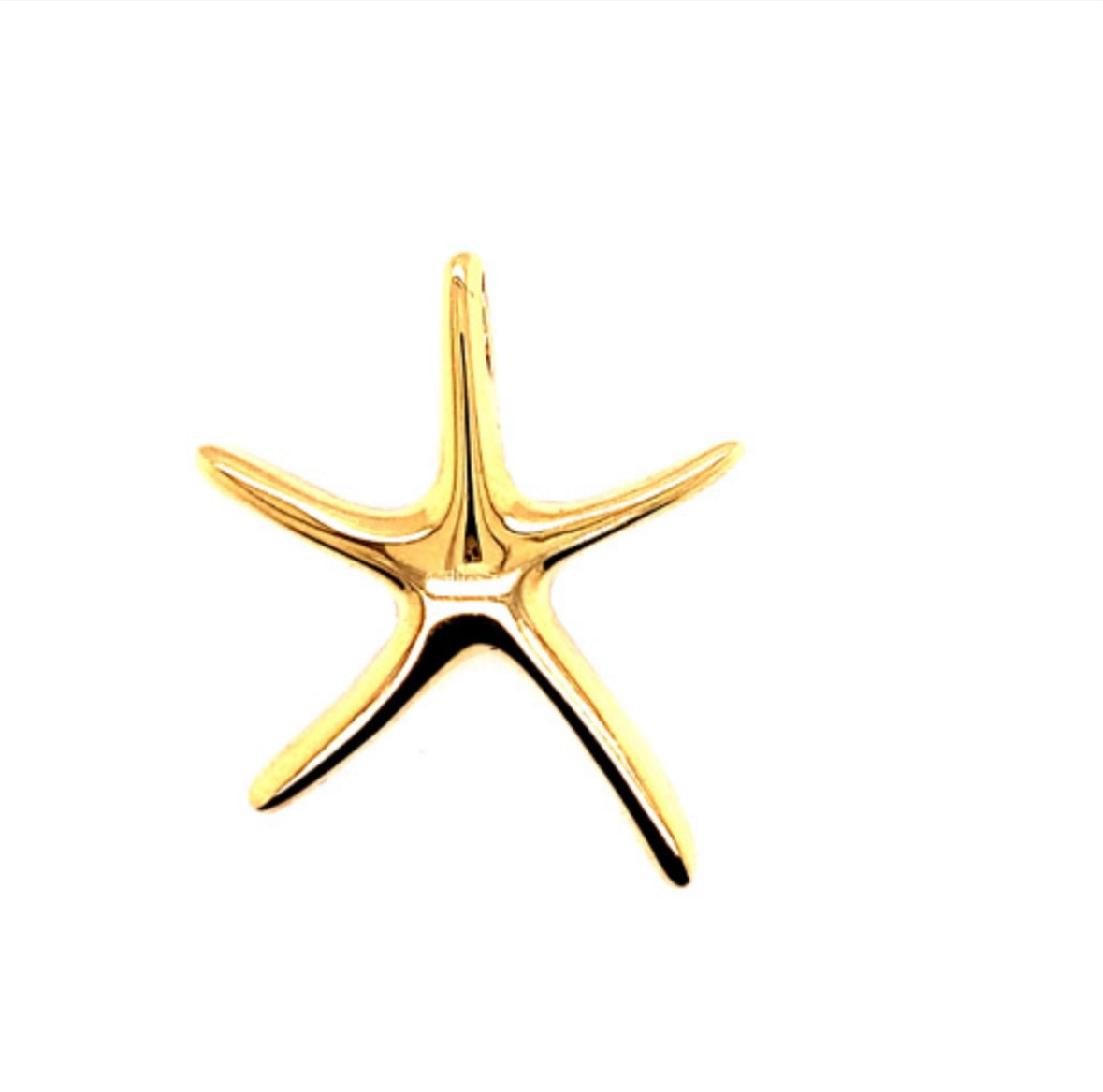 14K Yellow Gold Star Fish Charm