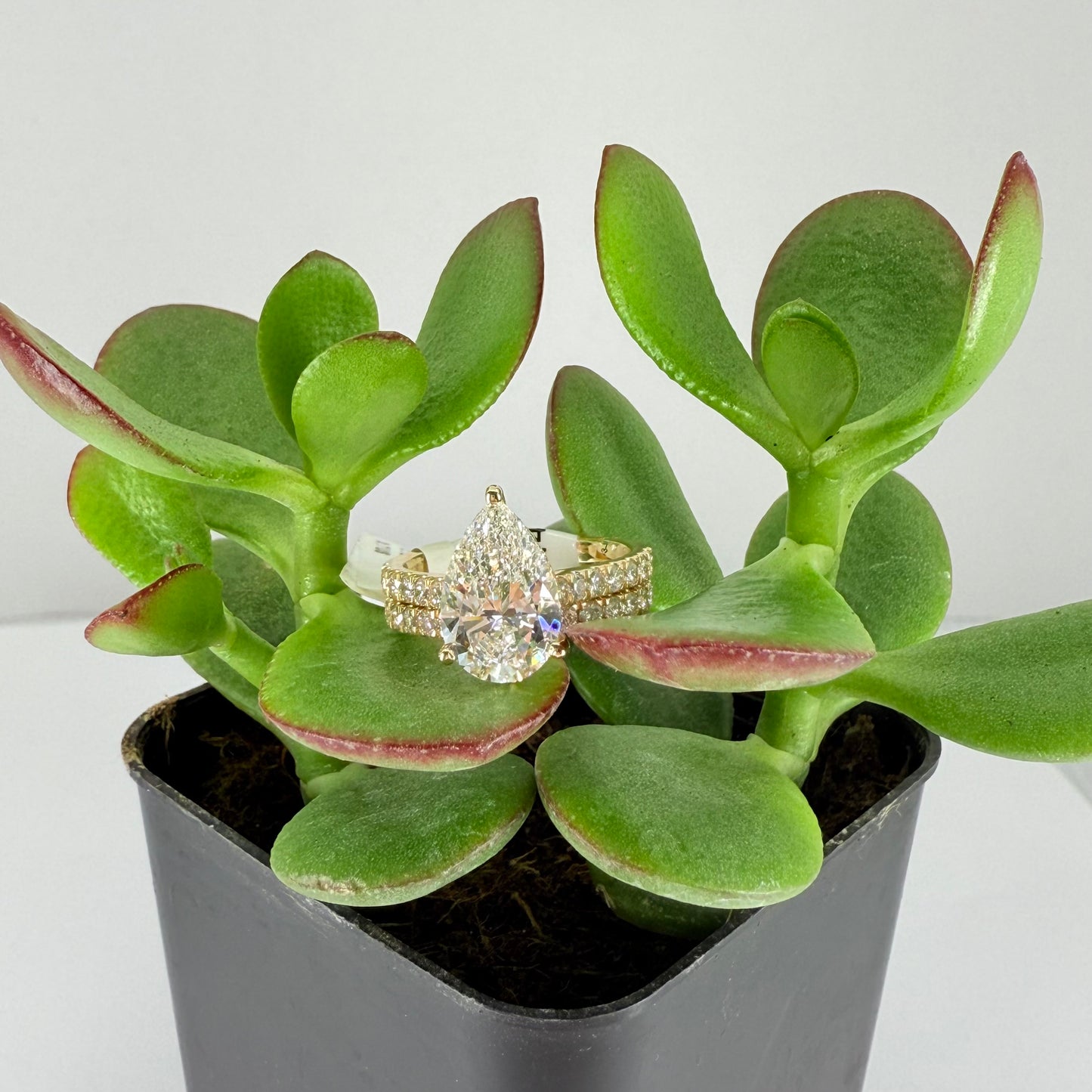 14K Pear Cut Yellow Gold 3.86CT Lab Grown Diamond Ring With Halo IGI certified Diamond Engagement Ring Set