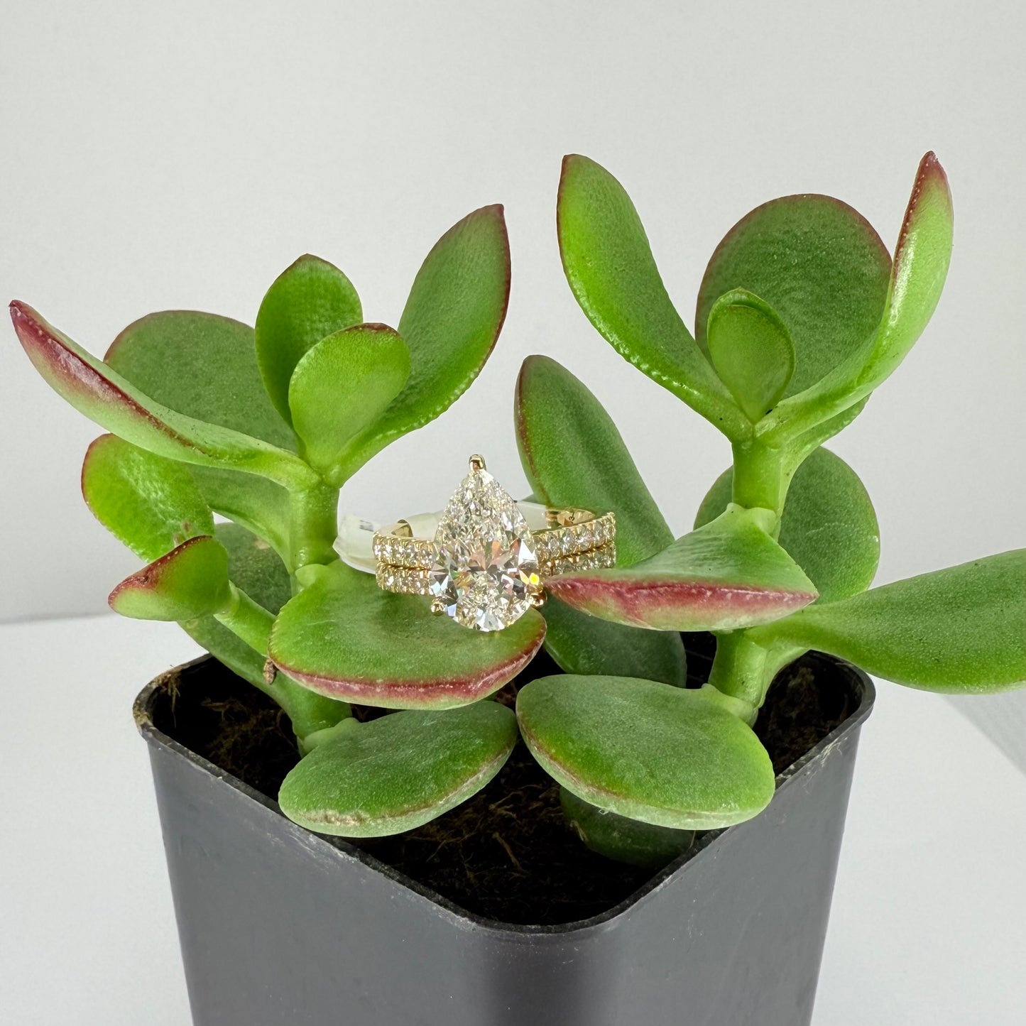 14K Pear Cut Yellow Gold 3.86CT Lab Grown Diamond Ring With Halo IGI certified Diamond Engagement Ring Set